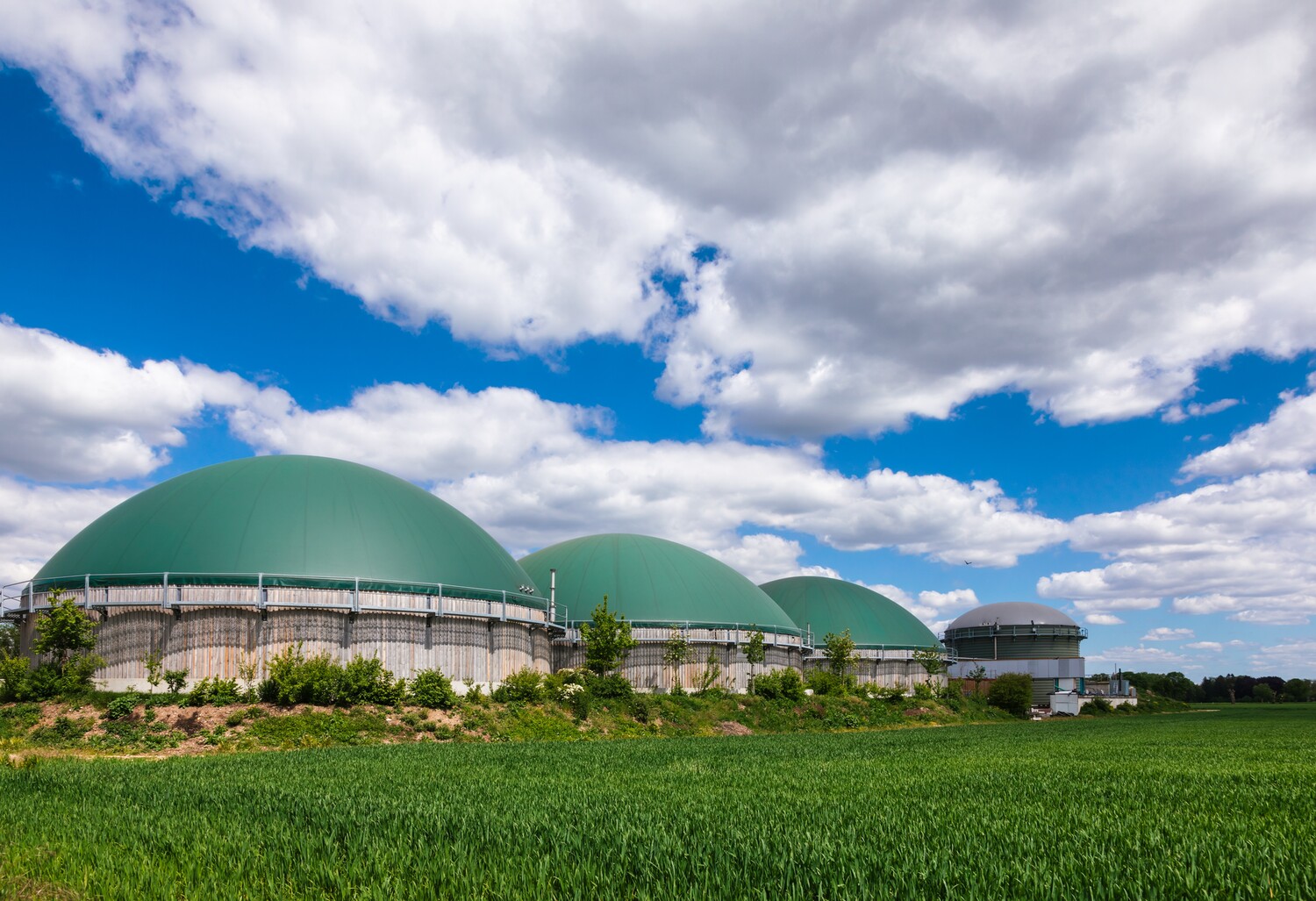 Biomass-2.jpg