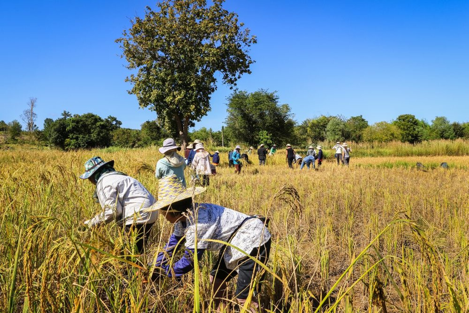 Camp Wycliffe • In Other Words